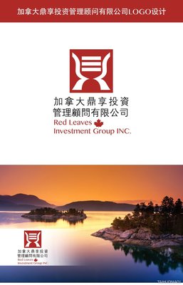 加拿大鼎享投资管理顾问LOGO设计